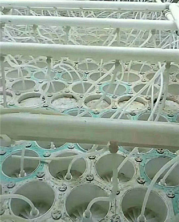 Ó������(n��i)���F��